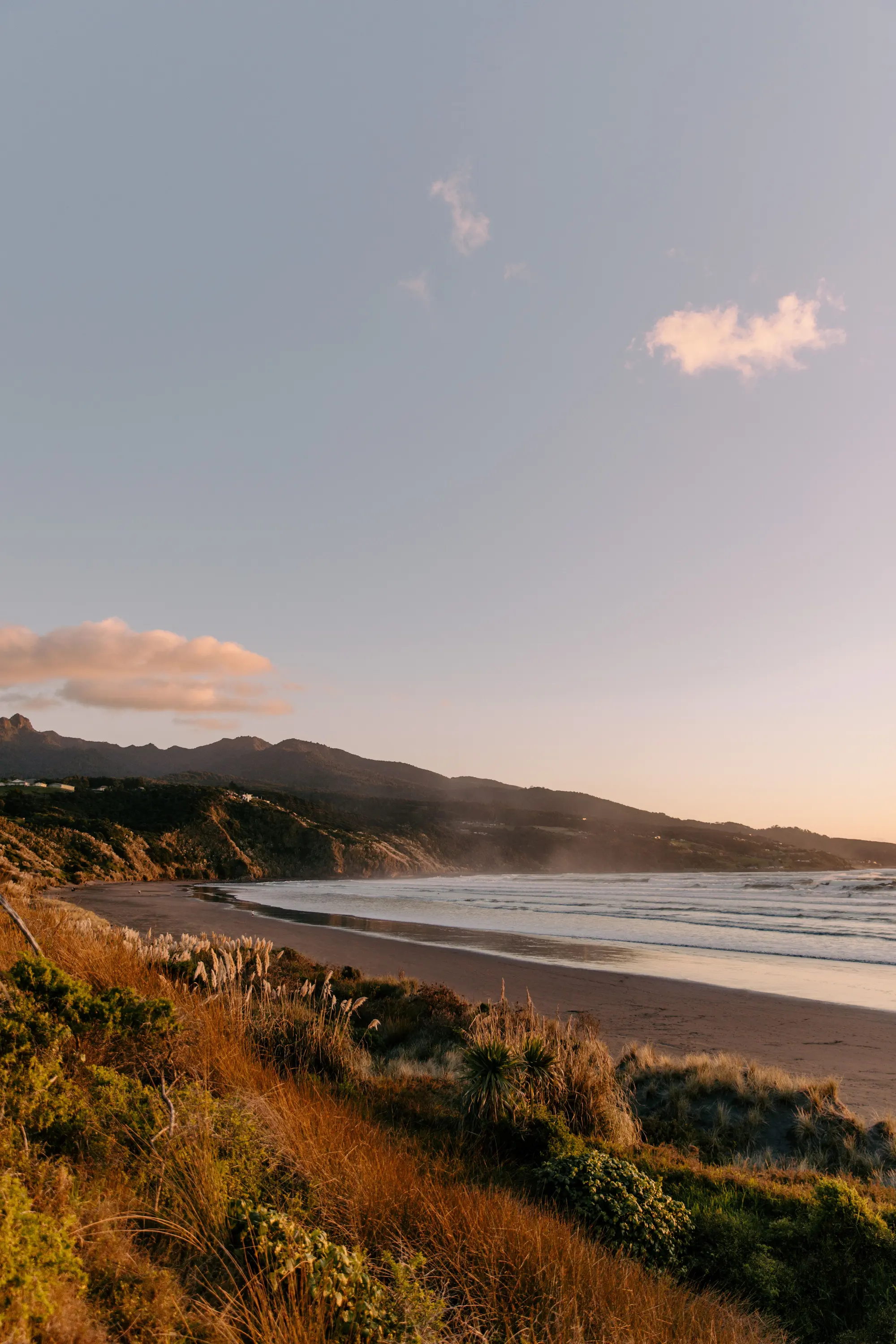 New Zealand coastal landscape